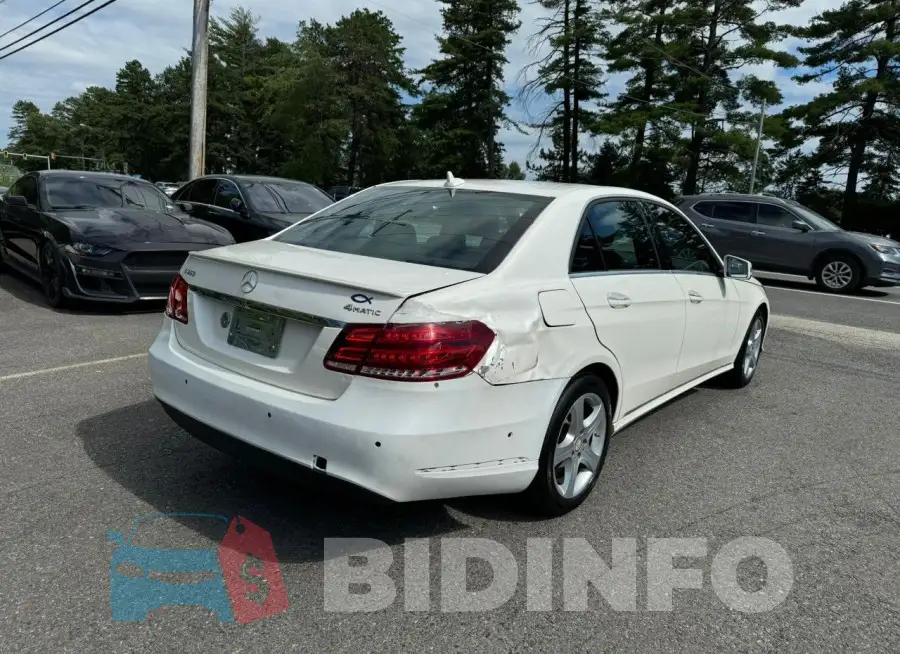 WDDHF8JB9FB138445 Photo# 3