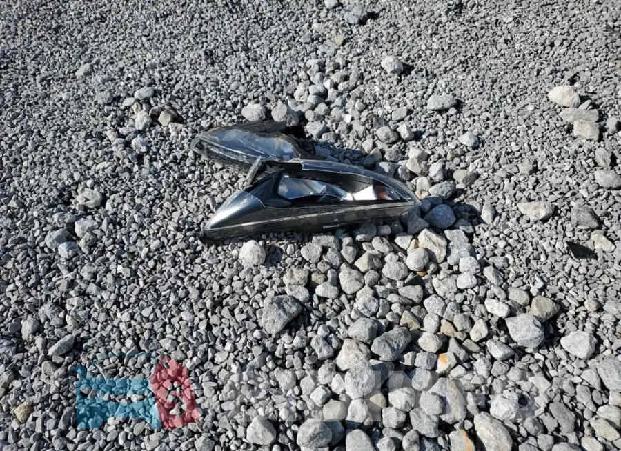1FADP3H24JL309934 Photo# 12