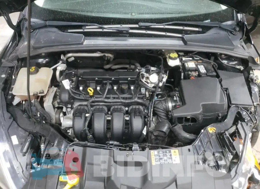 1FADP3M23HL208688 Photo# 11