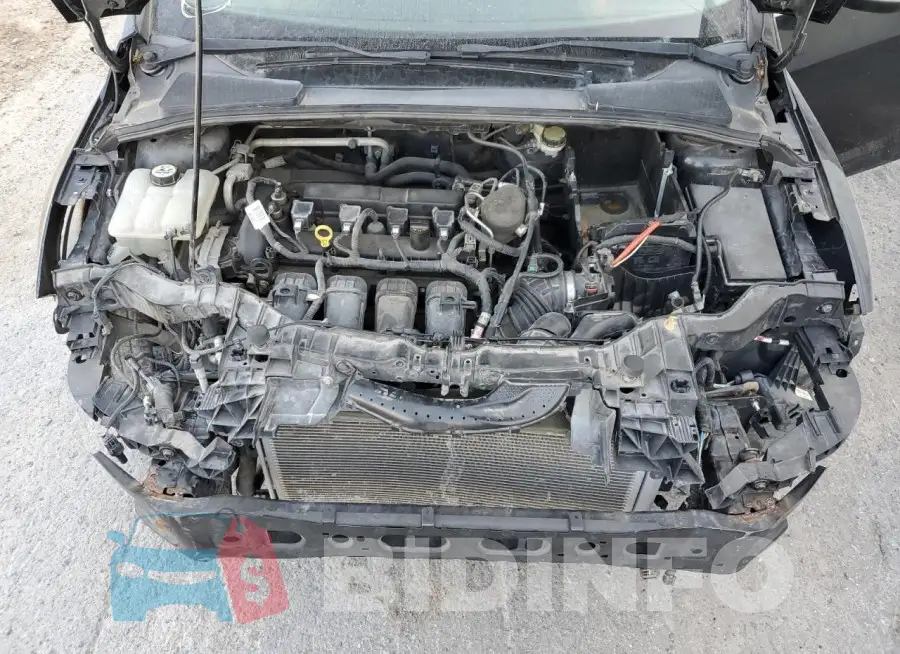 1FADP3N20FL287135 Photo# 11