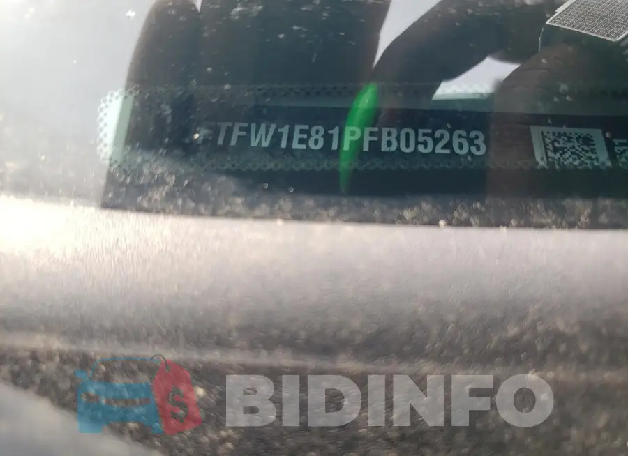 1FTFW1E81PFB05263 Photo# 12