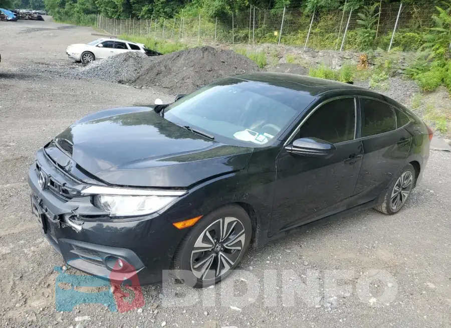 19XFC1F31HE212305 Photo# 1