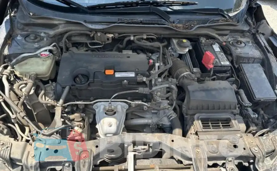 19XFC2F5XGE204757 Photo# 7