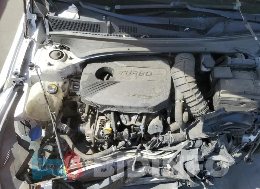 3KPF44AC5LE241207 Photo# 11