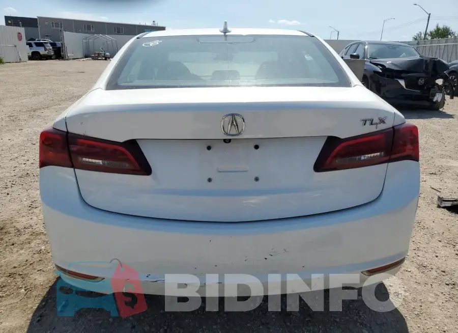 19UUB1F57FA801095 Photo# 6