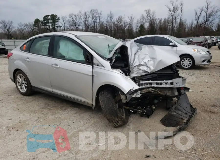 1FADP3F24GL219310 Photo# 4