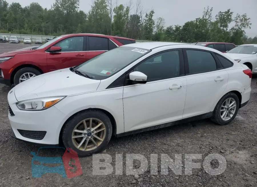 1FADP3F25GL262036 Photo# 1