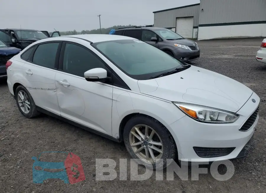 1FADP3F25GL262036 Photo# 4