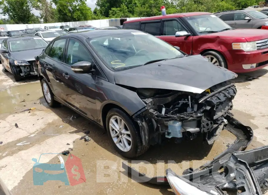 1FADP3F26GL384422 Photo# 4