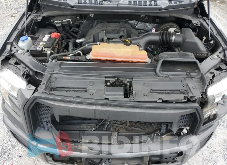 1FTMF1CPXGFD10954 Photo# 11