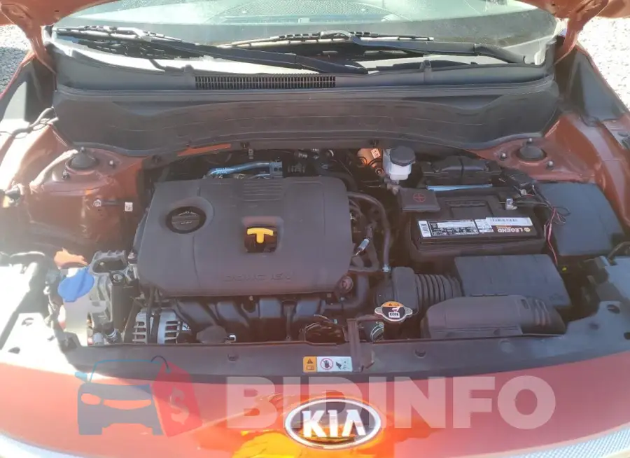 KNDEU2AA4M7229484 Photo# 11