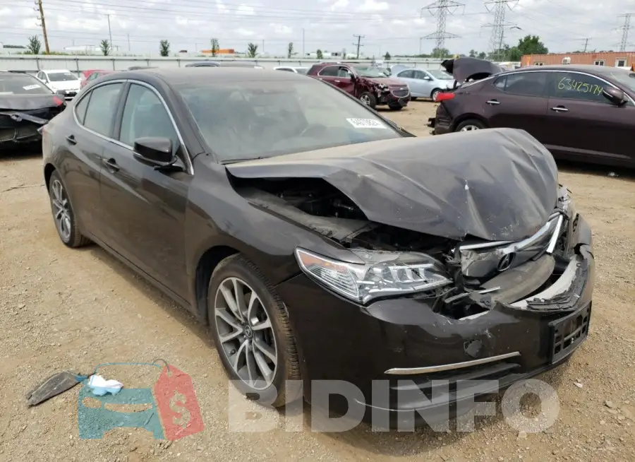 19UUB3F54FA010051 Photo# 4