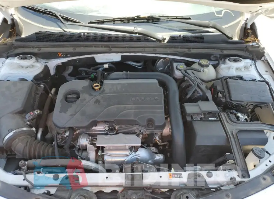 1G1ZD5ST1MF065564 Photo# 11