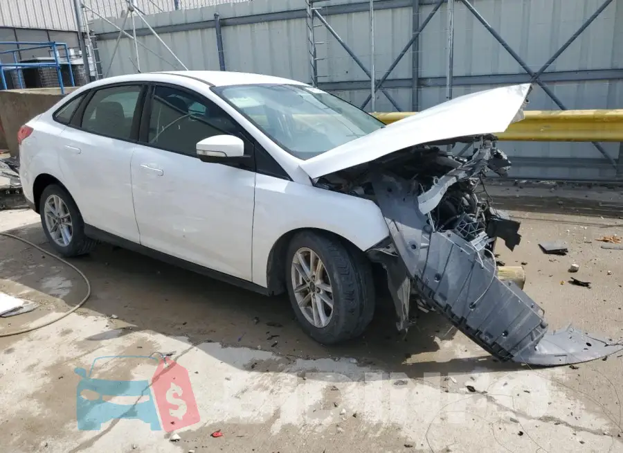 1FADP3F24GL213569 Photo# 4