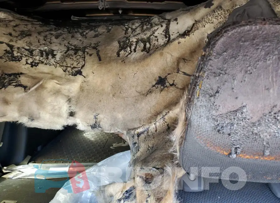 3FMCR9B68NRD11574 Photo# 10