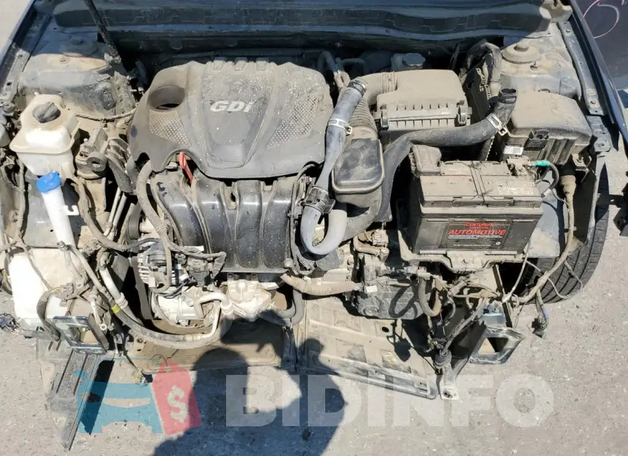 KNAGM4A71F5592443 Photo# 11