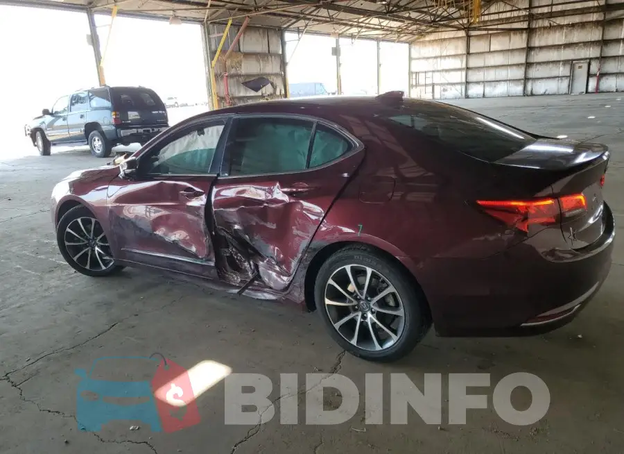 19UUB2F50FA016391 Photo# 2