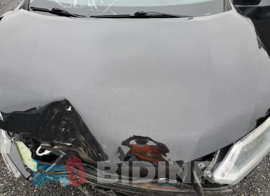KNMAT2MV3FP527074 Photo# 12