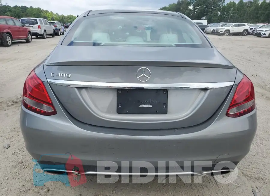 WDDWF4JB0GR147818 Photo# 6