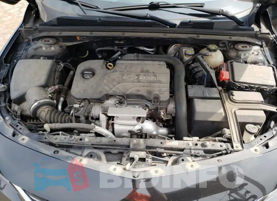 1G1ZC5ST0HF187731 Photo# 11