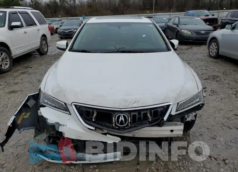 19UUB2F32GA008745 Photo# 5
