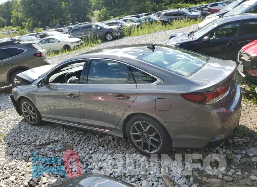 5NPE34AB7KH742017 Photo# 2