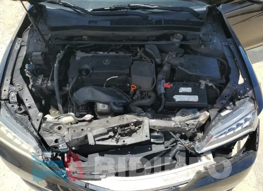 19UUB1F30FA001429 Photo# 11