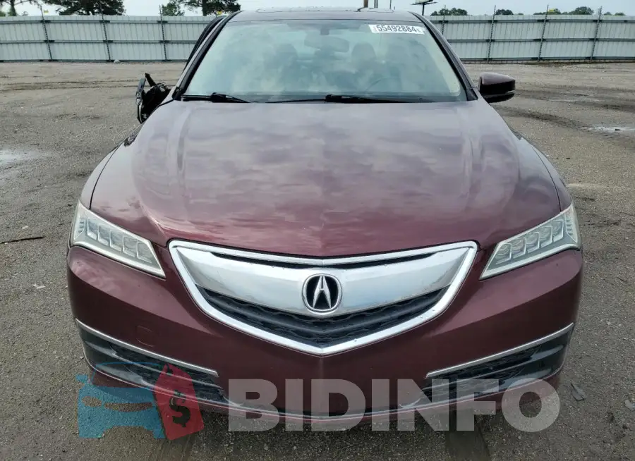19UUB1F32FA025764 Photo# 5