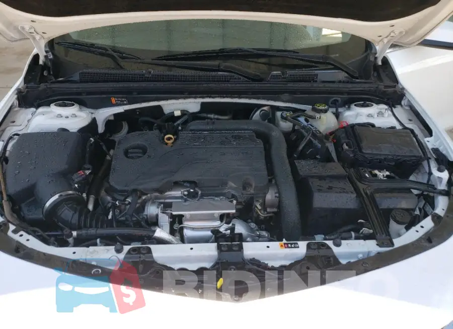 1G1ZD5ST9MF068227 Photo# 11