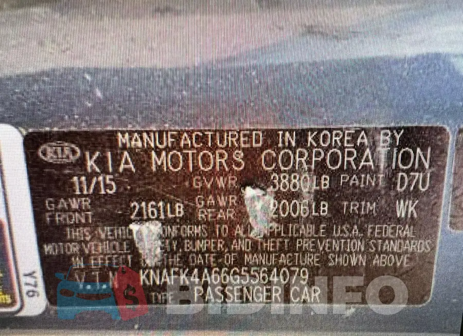 KNAFK4A66G5564079 Photo# 13