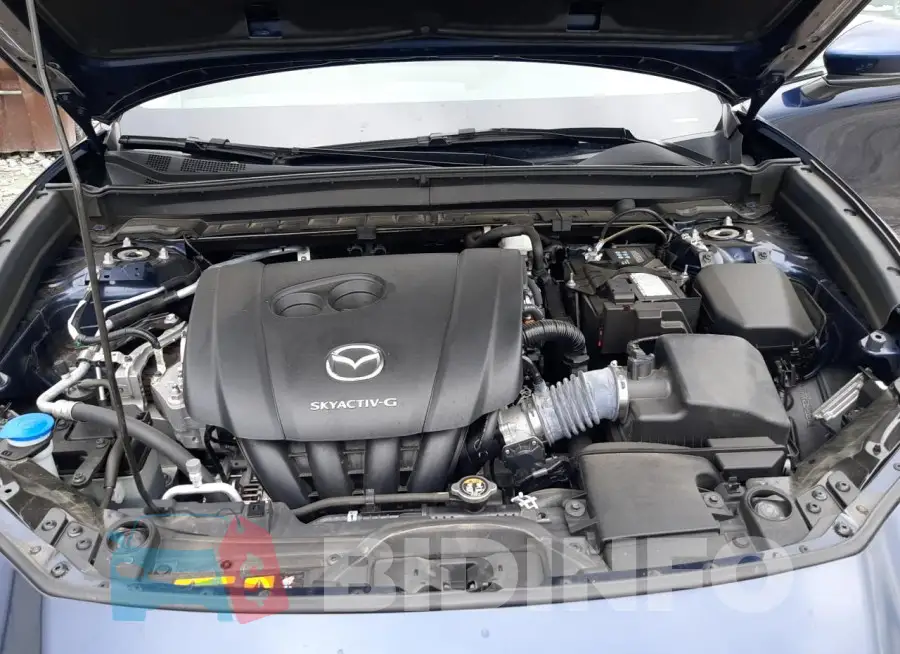 3MVDMBBL5MM220471 Photo# 12