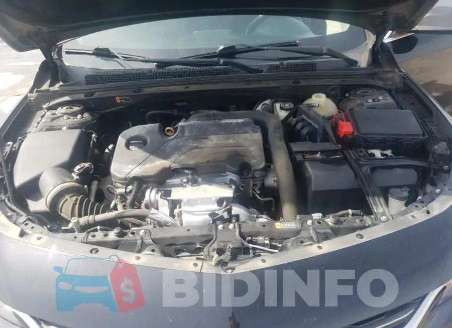 1G1ZB5ST8HF170453 Photo# 11