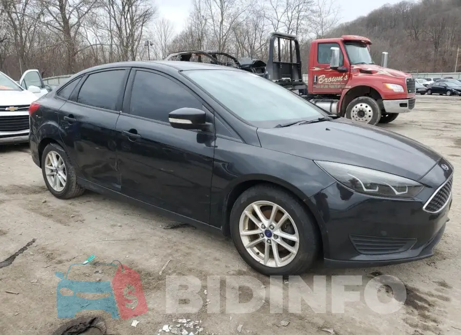 1FADP3F22FL383282 Photo# 4