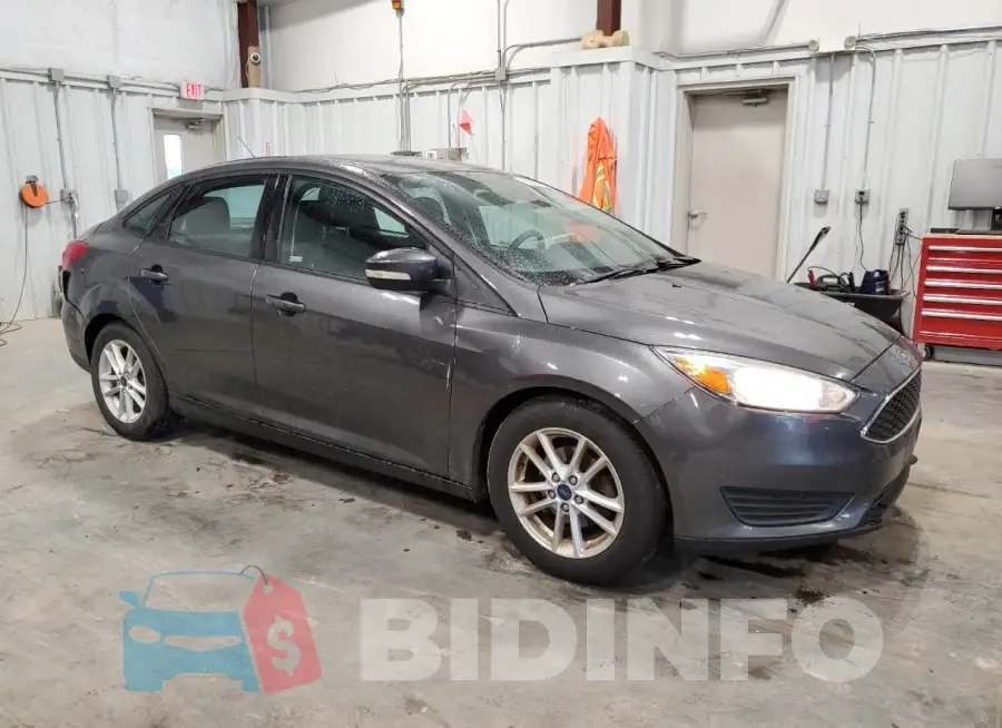 1FADP3F29GL242873 Photo# 4