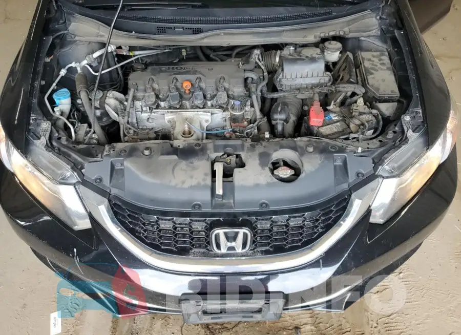 19XFB2F85FE070235 Photo# 11