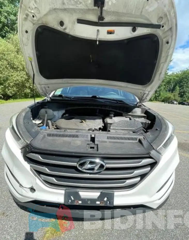 KM8J3CA49HU529011 Photo# 7