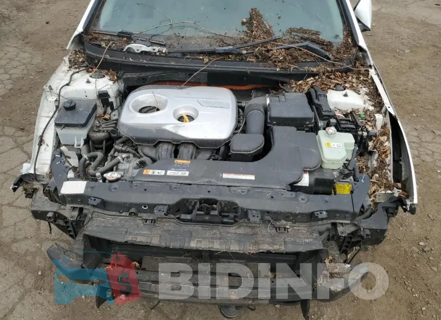 KMHE24L16HA056344 Photo# 11