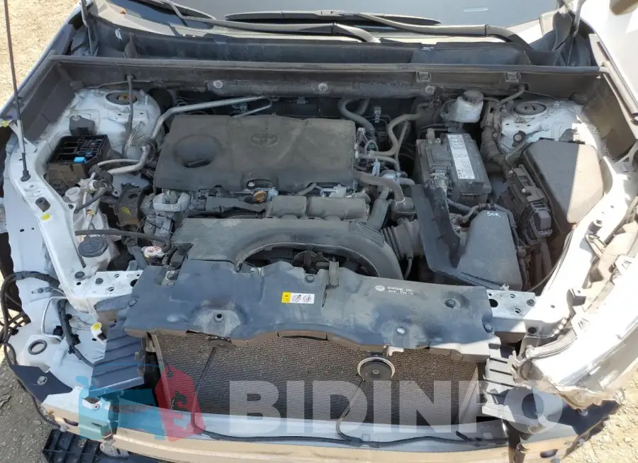 2T3B1RFV6KW001309 Photo# 12