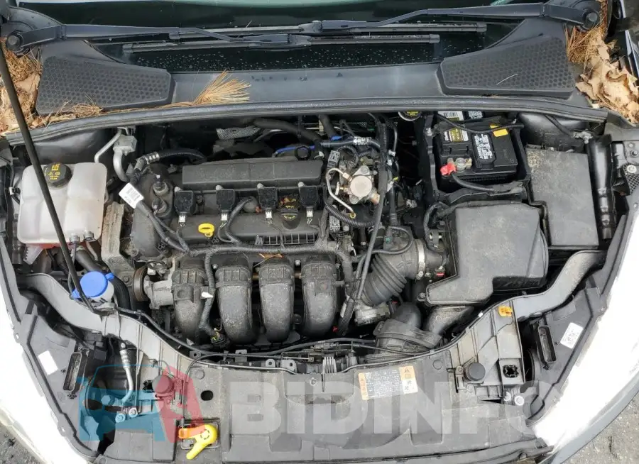1FADP3E25GL375602 Photo# 11