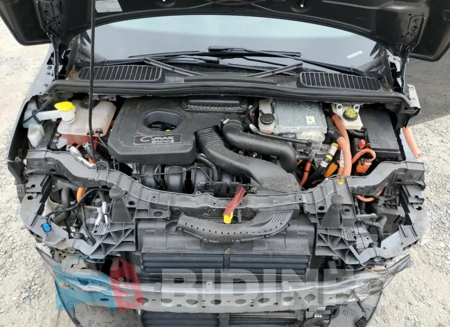 1FADP5CU3GL114162 Photo# 12