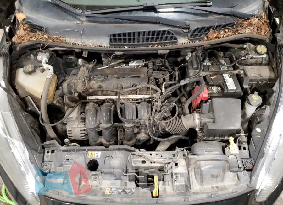3FADP4TJ7GM130962 Photo# 11