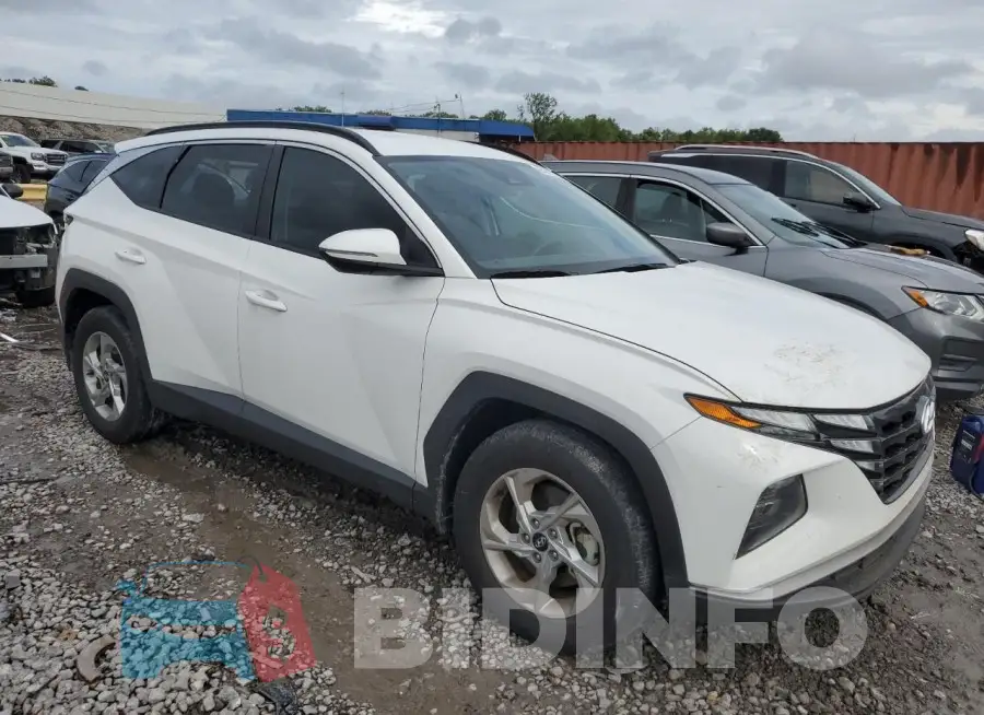 5NMJB3AE6PH242313 Photo# 4