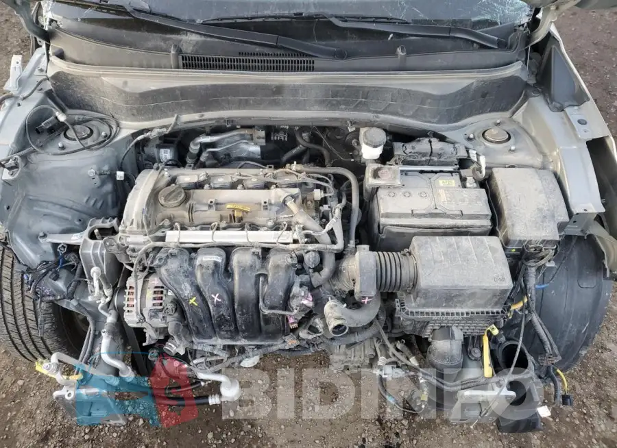 KNDEUCAA5M7148144 Photo# 12
