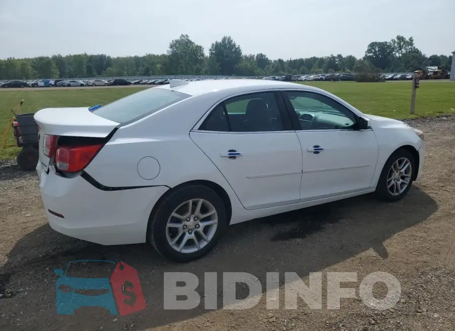 1G11C5SLXFF225413 Photo# 3