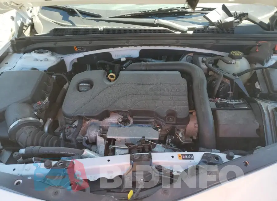 1G1ZD5ST2KF159398 Photo# 11