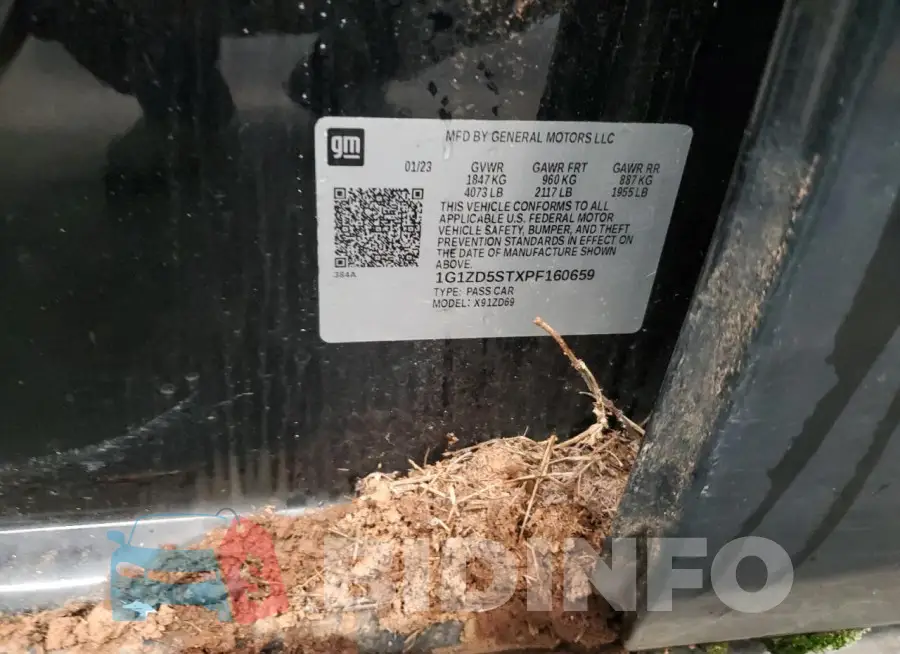 1G1ZD5STXPF160659 Photo# 12