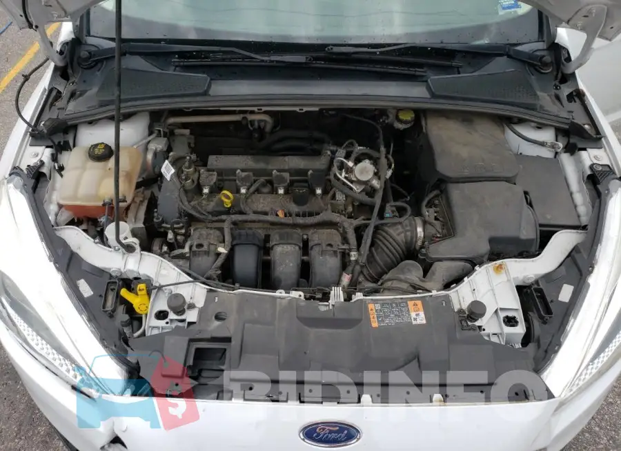 1FADP3F21GL387471 Photo# 11