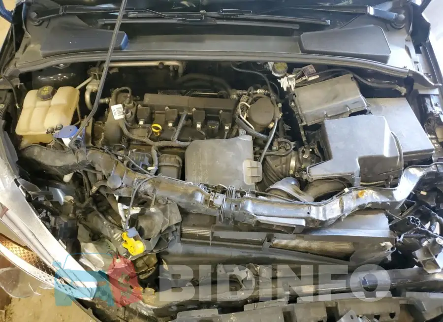 1FADP3F2XGL252277 Photo# 11