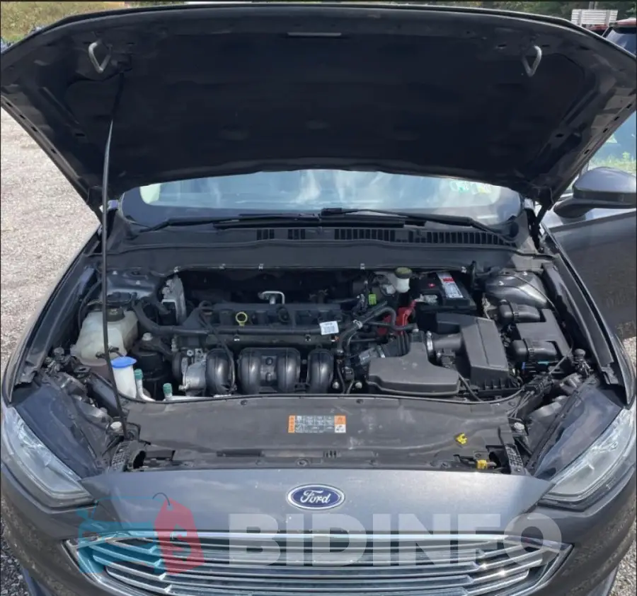 3FA6P0H79HR344368 Photo# 7