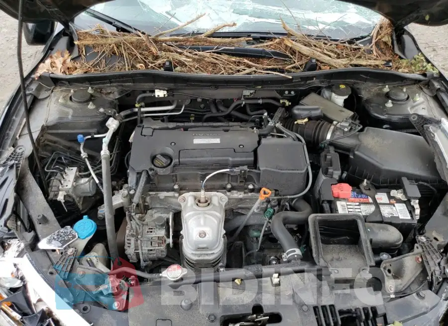 1HGCR2F3XGA151384 Photo# 11